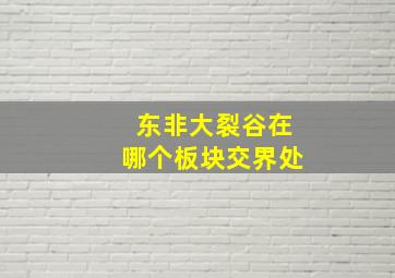 东非大裂谷在哪个板块交界处