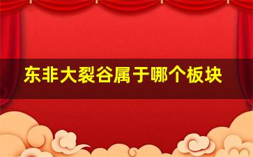 东非大裂谷属于哪个板块