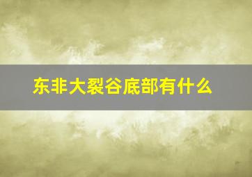 东非大裂谷底部有什么