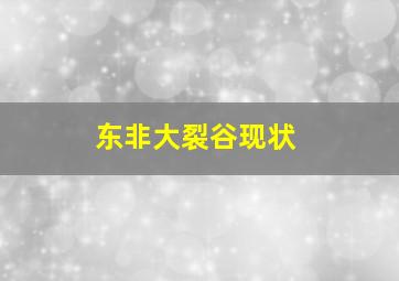 东非大裂谷现状