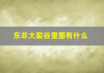 东非大裂谷里面有什么