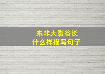 东非大裂谷长什么样描写句子