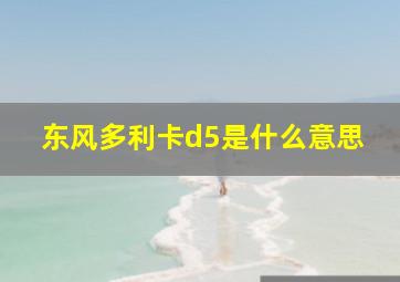 东风多利卡d5是什么意思