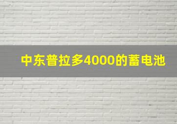 中东普拉多4000的蓄电池