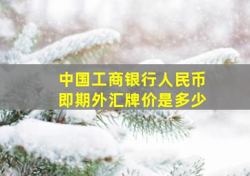 中国工商银行人民币即期外汇牌价是多少