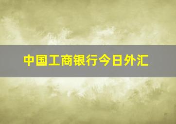 中国工商银行今日外汇