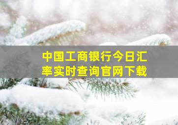 中国工商银行今日汇率实时查询官网下载