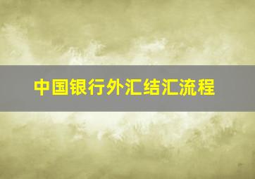 中国银行外汇结汇流程