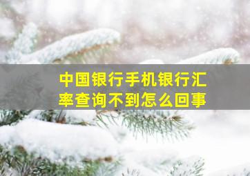 中国银行手机银行汇率查询不到怎么回事