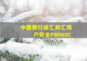 中国银行结汇购汇用户安全PB060C