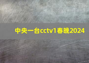 中央一台cctv1春晚2024