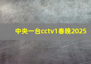 中央一台cctv1春晚2025