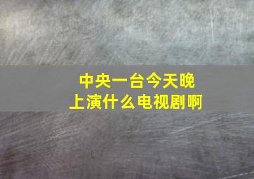 中央一台今天晚上演什么电视剧啊