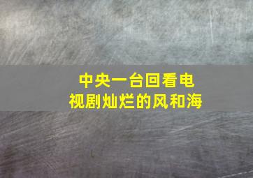 中央一台回看电视剧灿烂的风和海