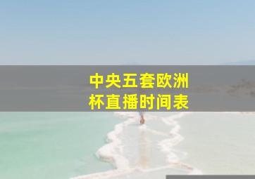 中央五套欧洲杯直播时间表