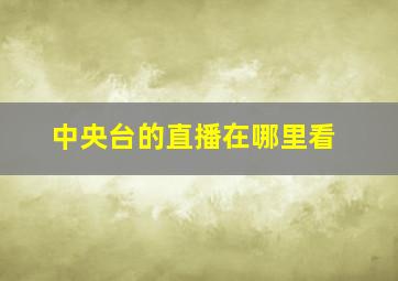 中央台的直播在哪里看