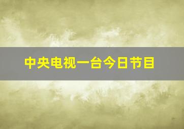 中央电视一台今日节目