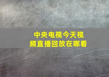 中央电视今天视频直播回放在哪看