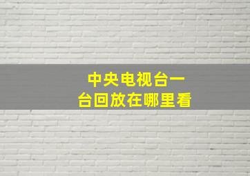 中央电视台一台回放在哪里看