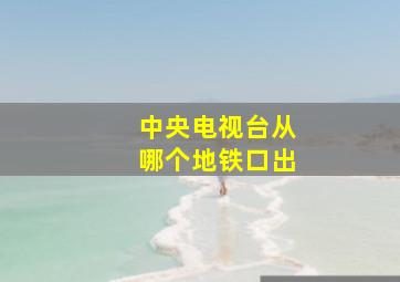 中央电视台从哪个地铁口出