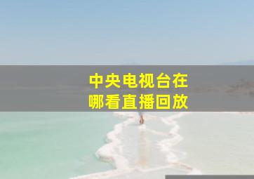 中央电视台在哪看直播回放