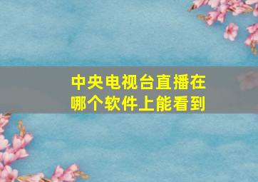 中央电视台直播在哪个软件上能看到