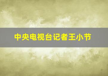 中央电视台记者王小节