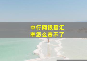 中行网银查汇率怎么查不了