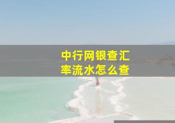 中行网银查汇率流水怎么查