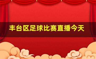 丰台区足球比赛直播今天