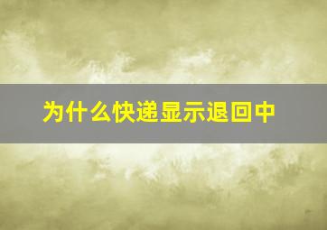 为什么快递显示退回中