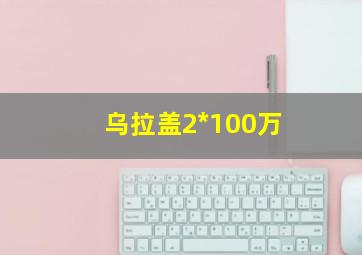 乌拉盖2*100万