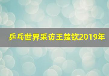 乒乓世界采访王楚钦2019年