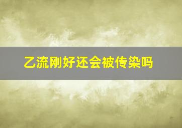 乙流刚好还会被传染吗