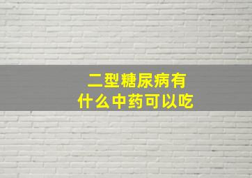 二型糖尿病有什么中药可以吃