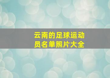 云南的足球运动员名单照片大全