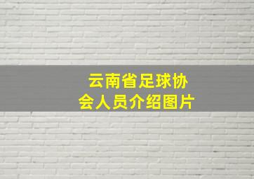 云南省足球协会人员介绍图片