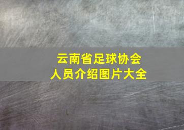 云南省足球协会人员介绍图片大全