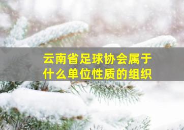 云南省足球协会属于什么单位性质的组织