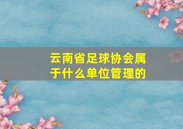 云南省足球协会属于什么单位管理的