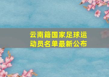 云南籍国家足球运动员名单最新公布