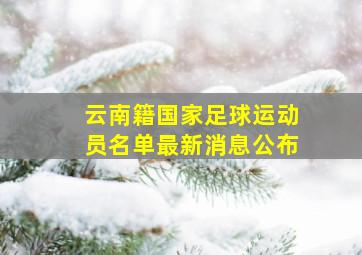 云南籍国家足球运动员名单最新消息公布