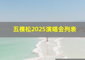 五棵松2025演唱会列表