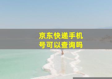 京东快递手机号可以查询吗