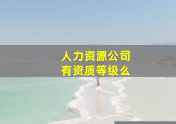 人力资源公司有资质等级么