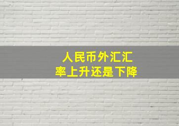 人民币外汇汇率上升还是下降