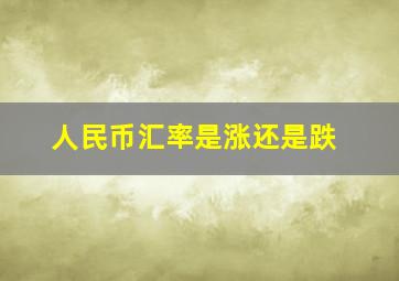 人民币汇率是涨还是跌