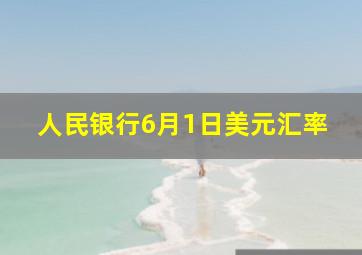 人民银行6月1日美元汇率