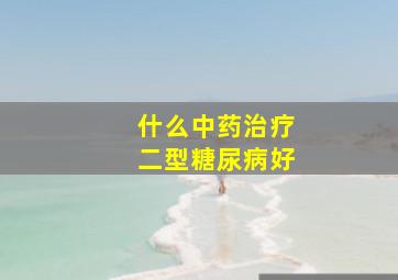 什么中药治疗二型糖尿病好