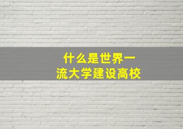 什么是世界一流大学建设高校